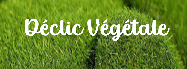 Déclic Végétale, plantes stabilisées pour vous faire plaisir...